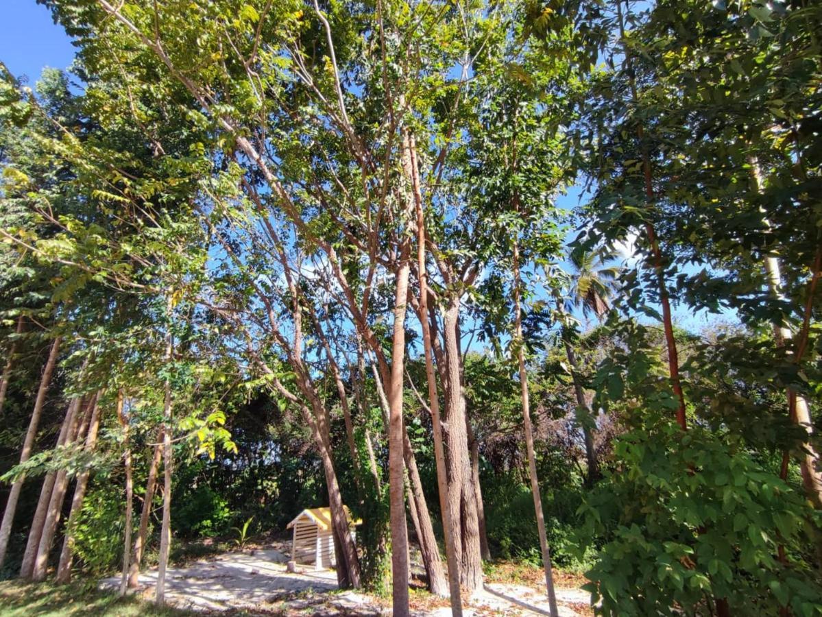 Villa Casa Nova 2 São José da Coroa Grande Exterior foto